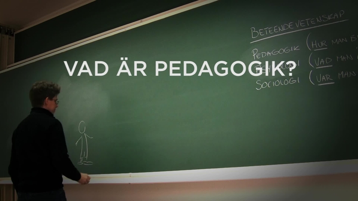 Vad är pedagogik?