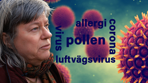Tumnagel för Pollen ökar risken att drabbas av luftvägsvirus
