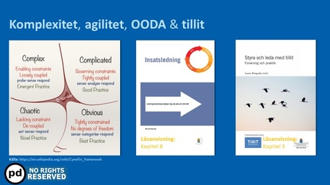 Miniatyr för inlägg Ledningsform del 3 - Komplexitet - Agilitet - OODA &amp; Tillit