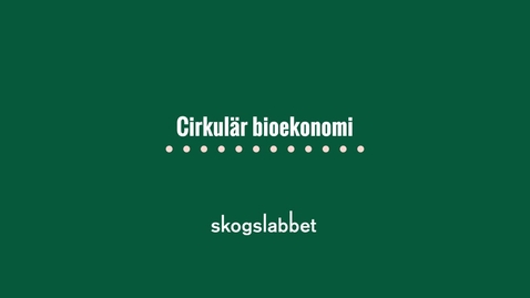 Thumbnail for entry Skogslabbet infografik: Cirkulär bioekonomi