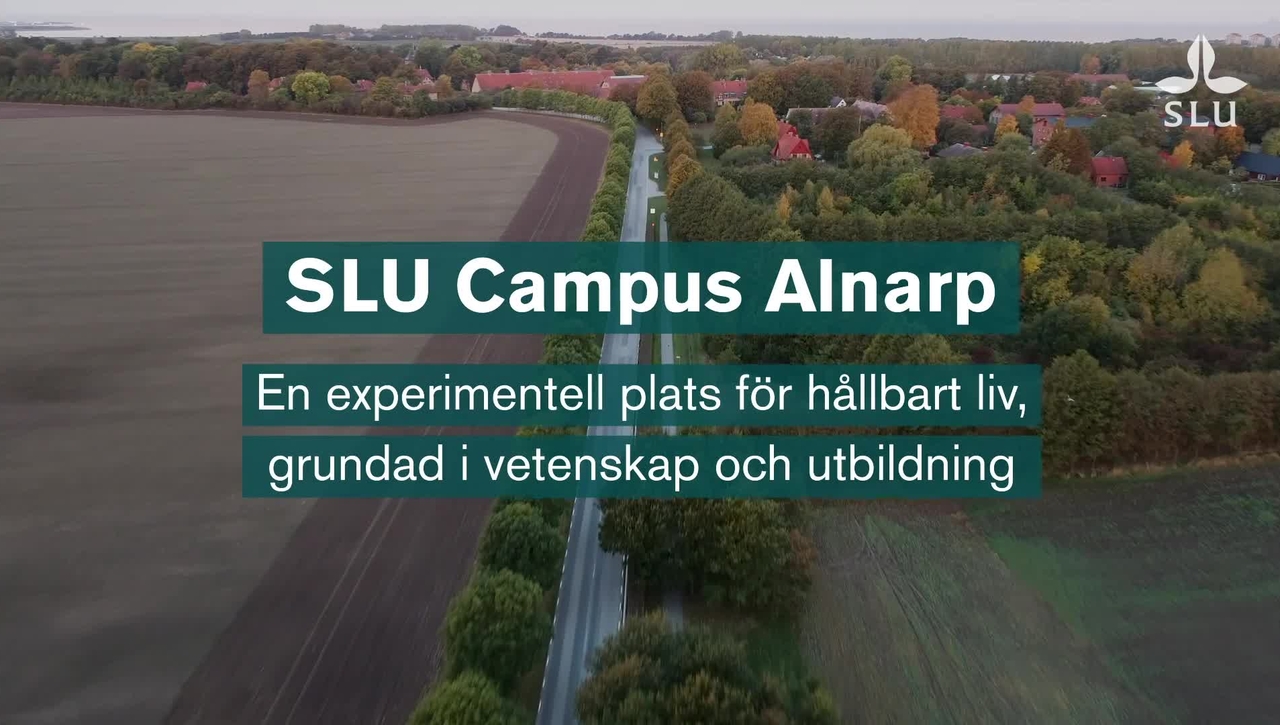 SLU Campus Alnarp