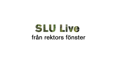 Thumbnail for entry SLU Live