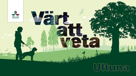Thumbnail for entry Värt att veta: Återställa våtmarker – en åtgärd som gör skillnad?