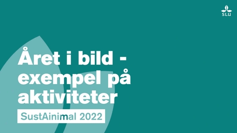 Thumbnail for entry Årsberättelse i bilder SustAinimal 2022