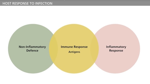 Thumbnail for entry BIOFILM - Chronic Infections Host Response Part I