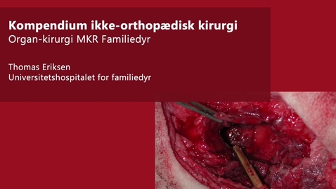 Thumbnail for entry 4. Kompendium i ikke-orthopædisk kirurgi hos familiedyr