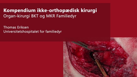 Thumbnail for entry 4. Kompendium i ikke-orthopædisk kirurgi hos familiedyr