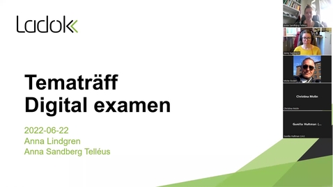 Miniatyr för inlägg Tematräff digital examen